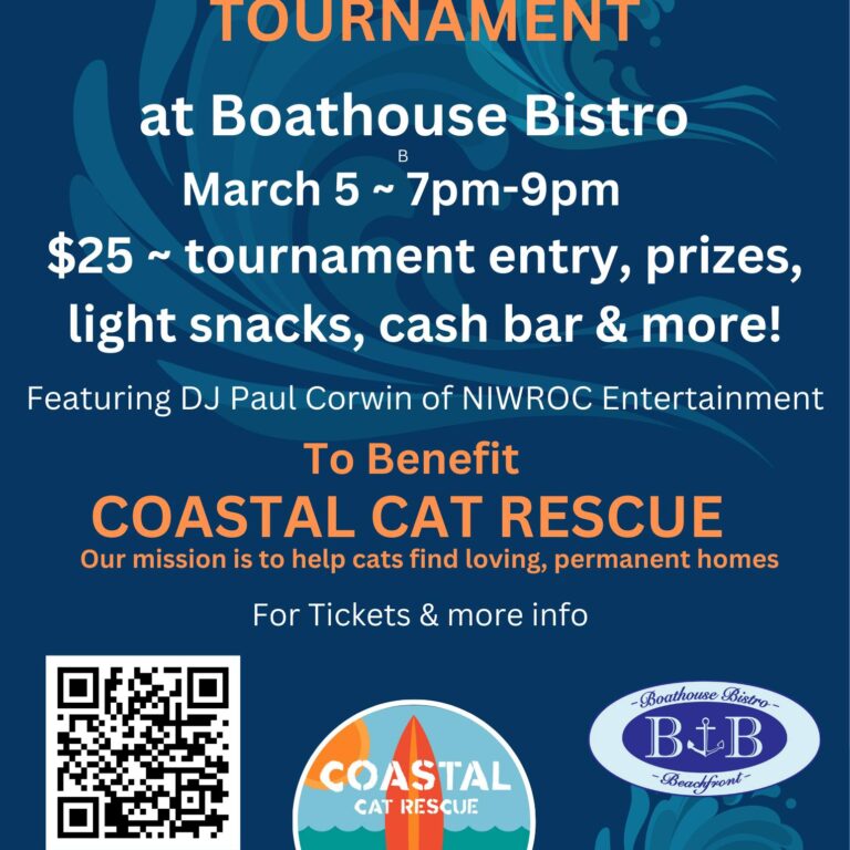 [SOLD OUT] Second Annual Left Right Center Tournament to Benefit Coastal Cat Rescue